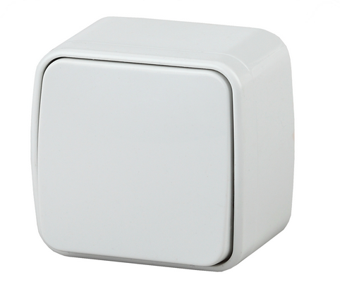 ЭРА Intro  Polo  Белый  Переключатель 10A-250В, открытая установка Б0036094